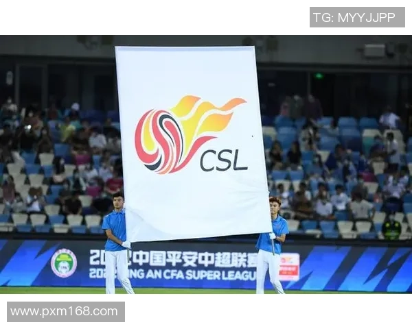 中国足球励志球星的奋斗历程与成就展示