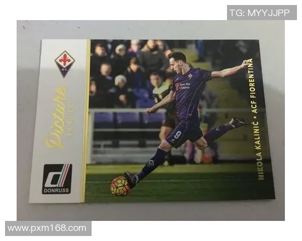 帕尼尼欧洲杯足球星卡全解析：收藏价值与市场趋势分析