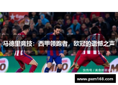 马德里竞技：西甲领跑者，欧冠的遗憾之声
